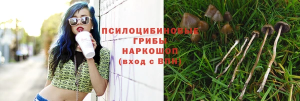винт Аркадак