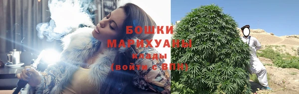 винт Аркадак