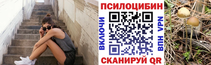 Псилоцибиновые грибы прущие грибы  hydra вход  Усинск  это Telegram  где купить наркоту 